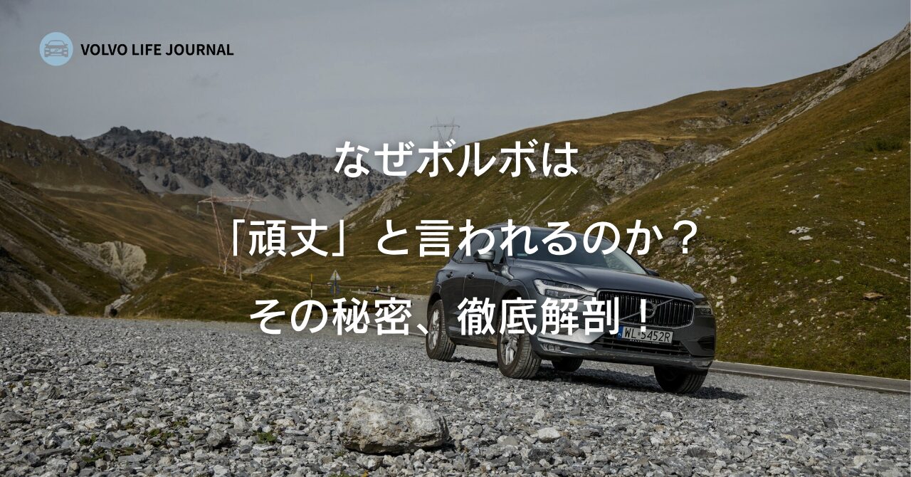「ボルボは頑丈」は本当?元オーナーが深掘りする安全神話の理由と実力